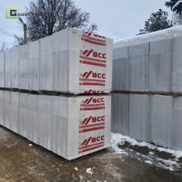 Блок 600x200x300 D500 БЦК Орша за 1м3